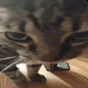 what