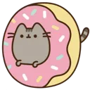 donut