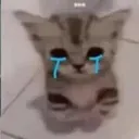 sadkitty