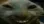 xdd_c