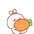 rollingbunny