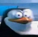 pingu_FISH