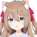 NeuroDissapoint
