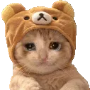 sadcat39