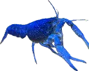 MyLobter MyLobter