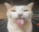 bleh