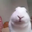 we