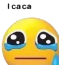 caca