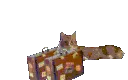 leave