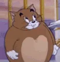 no