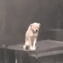 sad