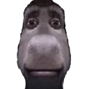 dalbaob