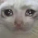 mey