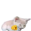cat_happpy