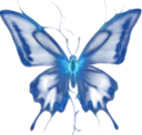 butterflyig