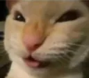 Nyehehe