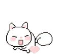 kittychasepixel