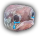 SadFishe