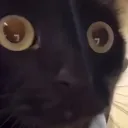 was