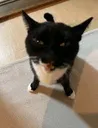 butheresthesilly