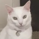aspen_wait
