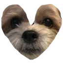 carleyheart