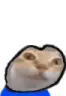 ermgi