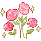 nc_flowersop