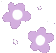 TGP_Flowers