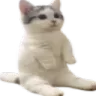 sitcat