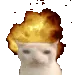 cat_bomb
