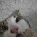 goob