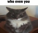 whoevenyou Discord emoji