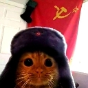 :anka: