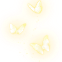 :butterfly_hb: