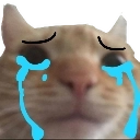 swagcry Discord sticker - The Rogue Syndicate