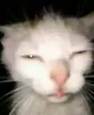 ahhhhhhggg