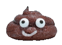 poop