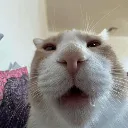 wha