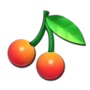 IMG_0106