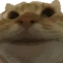 catyep