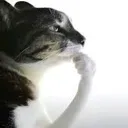 pensandoaire