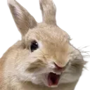 elybnnuyaaaaa