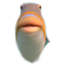 fish_stare Discord emoji