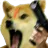 dogesh_gun