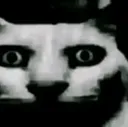 terror