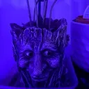 Plant_with_face