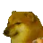 dogesh_smoking