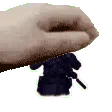 price_pat