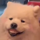 Hehe